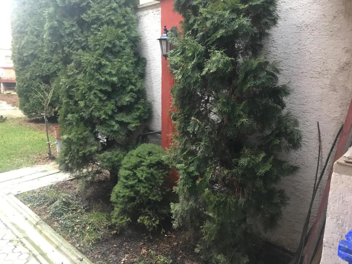 Apartman Jeruzalemska Trnava Bagian luar foto